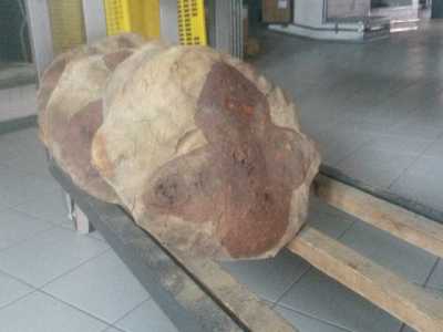 Il pane di Laterza con la tipica croce sopra la crosta, incisa per non farlo deformare 